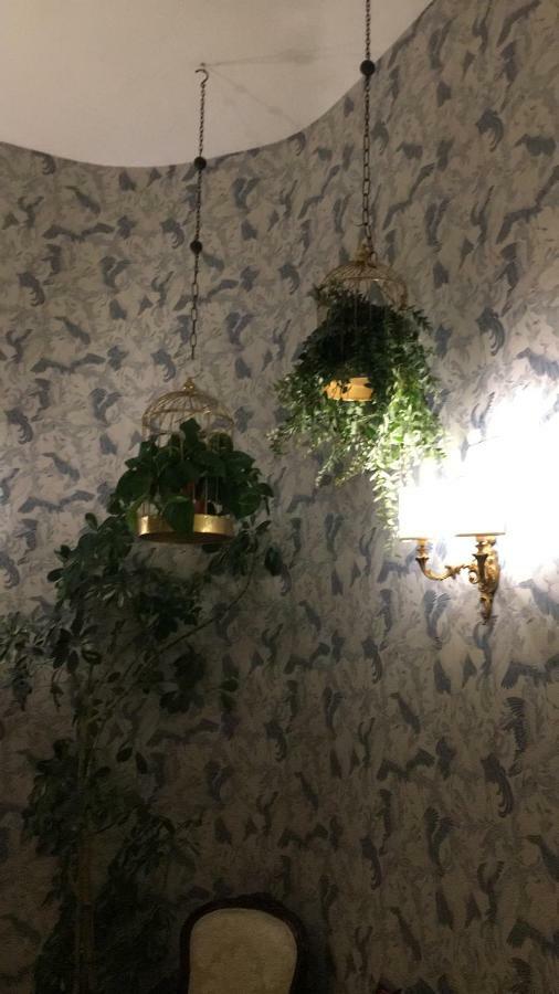 Beeclaire Guest House パレルモ エクステリア 写真